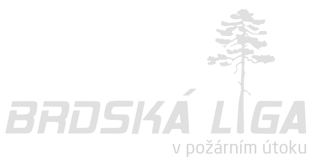 Logo 1